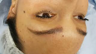 Microblading Eyebrows 3D Density Restoration by El Truchan @ Perfect Definition
