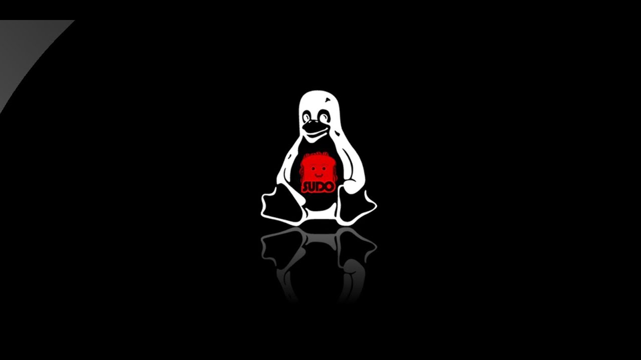 Su and Sudo Commands in Linux | Haiku Cyber Range