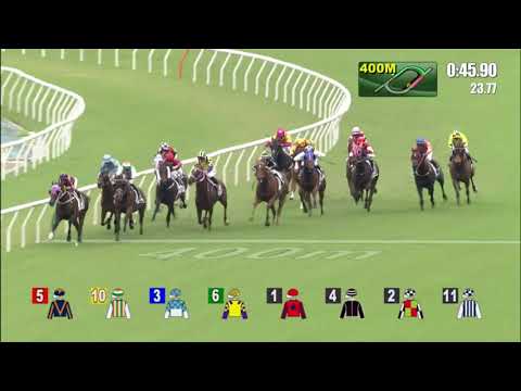 17/10/2021 (97) Seasons Bliss - Vincent Ho