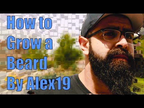Alex19's Ultimate Beard Tip