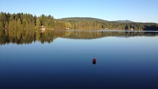preview picture of video 'Shawnigan Lake Vacation Rental Cabin | THE CABIN CLUB'