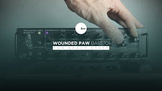 Wounded Paw Bass701(MULTI-BAND OVERDRIVE Bass Amp)