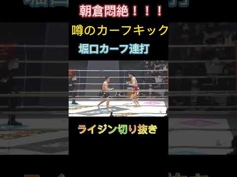 朝倉悶絶！カーフ連打、堀口恭司！　#朝倉　#rizin 　#ライジン 　#堀口恭司