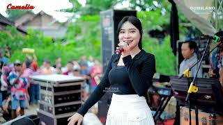 Download lagu CAMELIA MUSIC - LANGGAM WUYUNG - KURNIA RAHMA - PARTY REMACO X DOPING - CEPOGO KEMBANG JEPARA mp3
