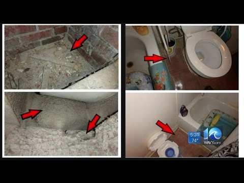 Local attorney has advice on winning mold cases in court