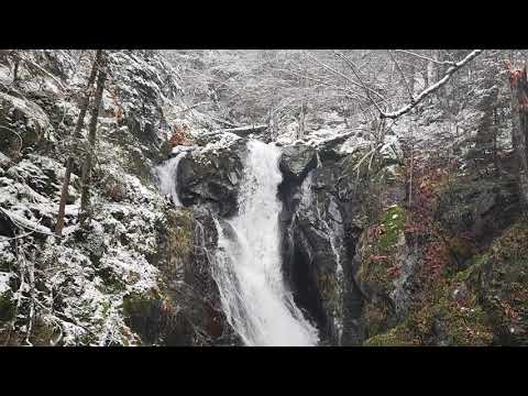 Passeio pela floresta enneigé em direção ao lago de Lauch na Alsácia (Alto Reno) em 25 de novembro de 2023
