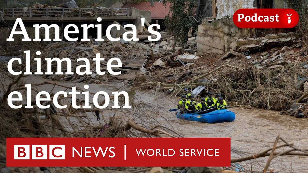 How the US election could change our climate - The Global Story podcast, BBC World Service