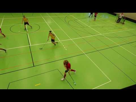 Hirvarit - Dynamo kooste 19.11.2016