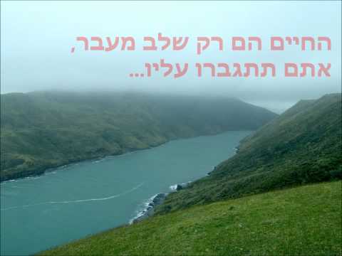download lagu mp3 mp4 ציטוטים על החיים, download lagu ציטוטים על החיים gratis, unduh video klip ציטוטים על החיים