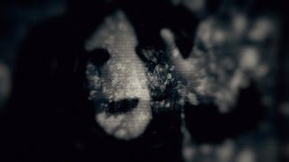 X-Vivo - Echo Of The Unseen (Official Video)