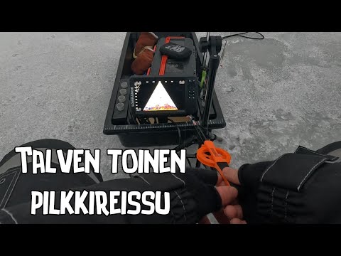 TALVEN TOINEN PILKKIREISSU - Pikku ahventa Lämsänjärveltä