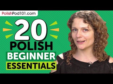 20 Beginner Polish Videos You Must Watch | Learn Polish