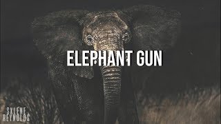 Elephant Gun - Beirut |Sub.Español|