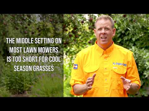YouTube video about Steer Clear of These Common Lawn Fertilizer Mistakes