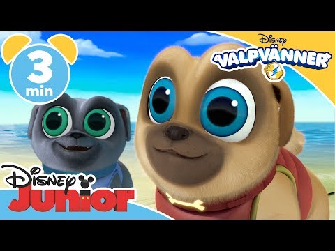 Valpvänner | Bobs paketleverans - Disney Junior Sverige