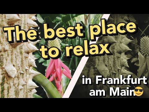 Passeando no Palmengarten. Todas as zonas climáticas em um só lugar! Linda música relaxante. РЕЛАКС+++++