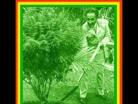 Green Pastures lyrics