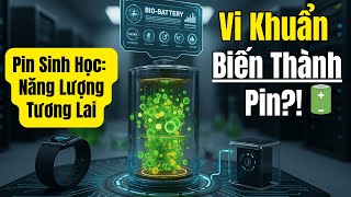 Exploring Biobatteries: Future Technology From Living Bacteria!