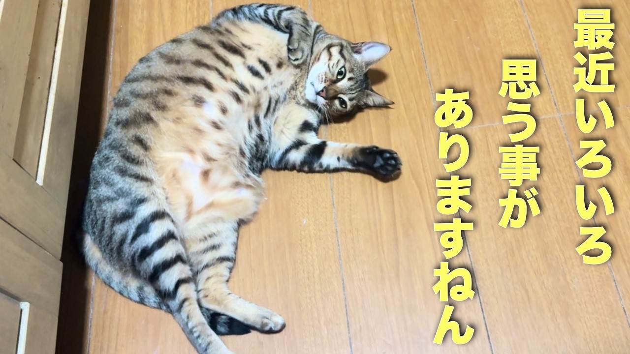 いろいろ思う事があるけど目の前の子達の事を全力で頑張りますねん。