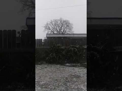 Rayne's Nature Clips Jonesboro Snowfall