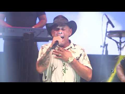 Show Briola Sales - 30/12/2020