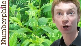 Primes are like Weeds (PNT) - Numberphile