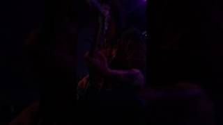 Between the Roses - SayWeCanFly live