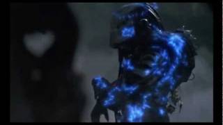 Predator tribute Accept