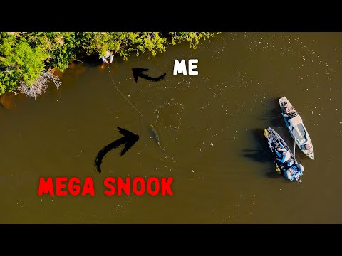 Mega Snook Mission in Florida Backwaters | The Return of Monster Snook