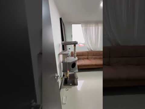 Apartamentos, Venta, Valle del Lili - $430.000.000