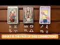 What is the Fate of this Connection? ✨😍❤️‍🔥✨| Timeless Reading