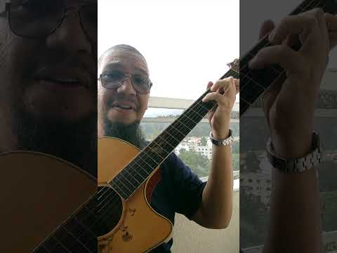 Não atire o pau no gato - Clésio Tapety