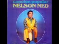 Nelson Ned La Biblia