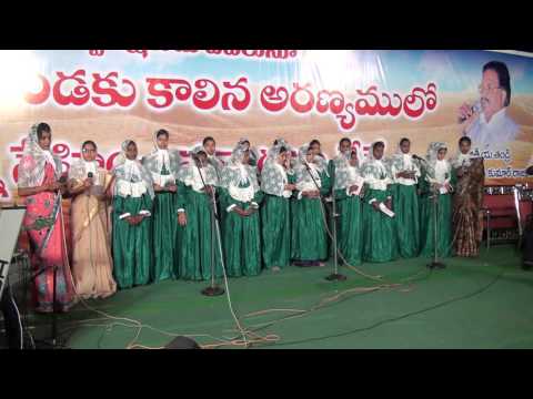 phalamulanaashinchina paraloka thandri