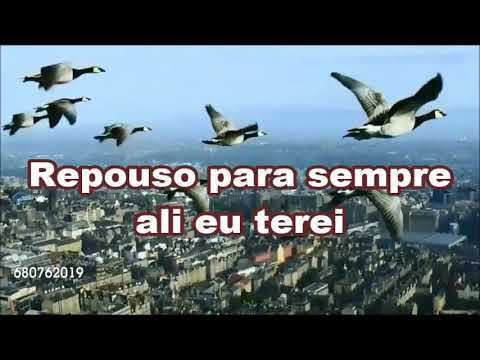 Vou Voar - Marco Aurélio