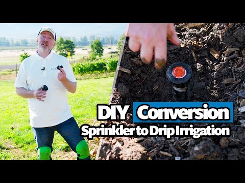 How to Convert an In-ground Sprinkler to Drip Irrigation (Beginner's DIY Guide)