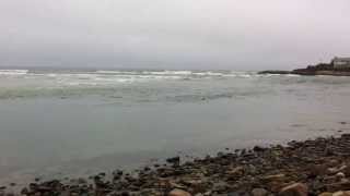Sea Chambers Dec 2, 2013