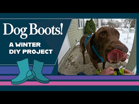 DIY Dog Boots for Bikejoring: Urban Tested by Huskies & Labs!