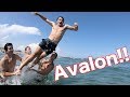 Avalon With The Boys!!! Avalon With The Boys!!!