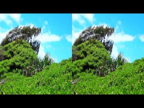 3D Blue Skies Beach Scene Hawaii FREE 3D Video Everyday N°25