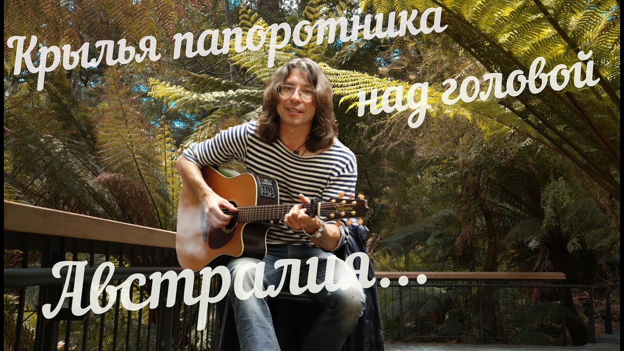 Крылья папоротника над головой