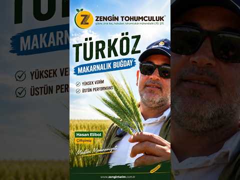 Zengin Tohumculuk - Türköz Makarnalık Buğday/Hasan Elibol (Müşteri Memnuniyeti)