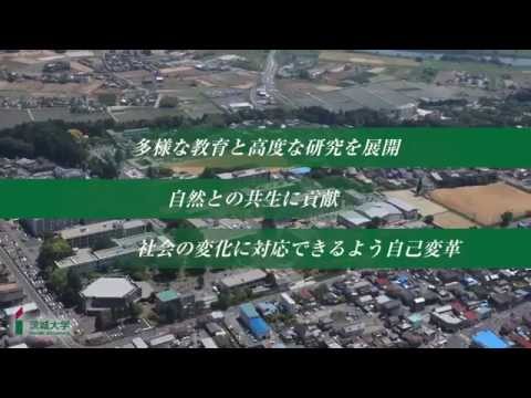 茨城大学沿革概要