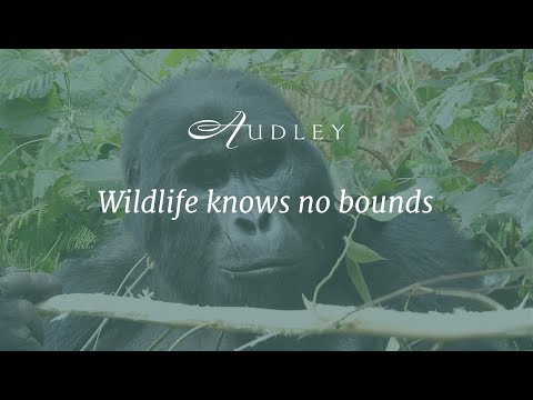 Wildlife knows no bounds