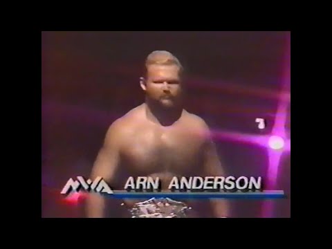 TV Title   Arn Anderson vs Terry Taylor   Pro Nov 17th, 1990