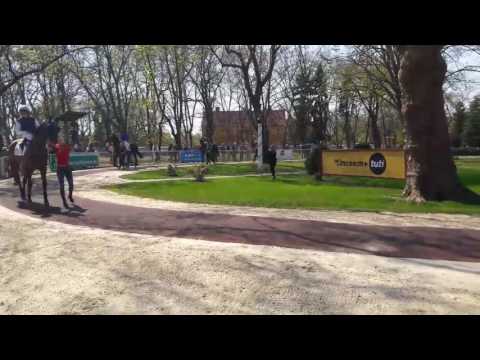 Nyitònap ( galopp) a Kincsem Parkban 2017.04.02