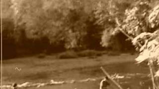 Sunshine on My Shoulder (John Denver) - Fishing