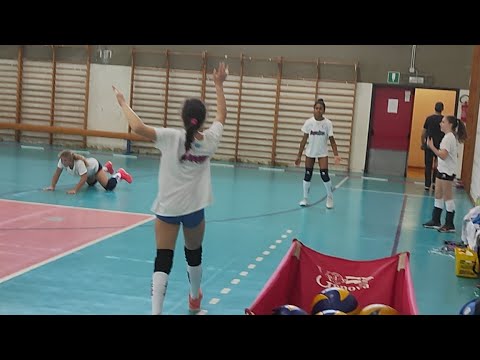 3 Div Normac Vgp - Cogovalle