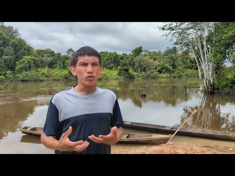 Video de la carta