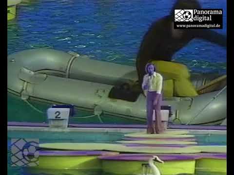 Athlete of the Year 1973 - SG Dynamo Dresden at a race in the Oberwiesenthal swimming pool, Decem...